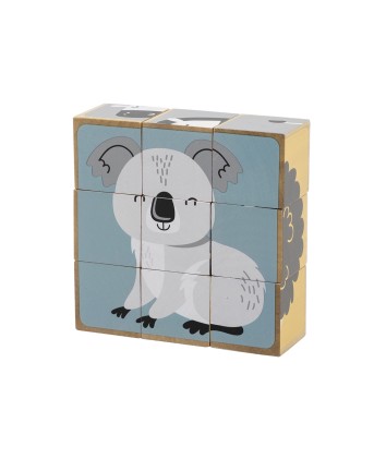 6 Sided Puzzle Blocks